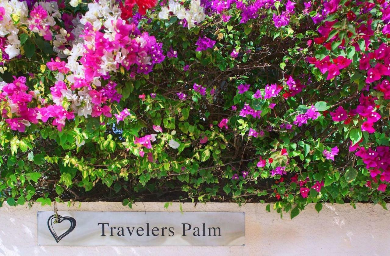 Travelers Palm Inn Κι Γουέστ Εξωτερικό φωτογραφία